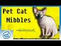 How to Get a Pet Cat: Nibbles - Cyberpunk 2077