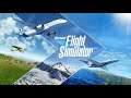 Microsoft Flight Simulator 2020 / GAMEPLAY /  Ep 2 primer vuelo y aterrizaje nocturno ( Cessna 172 )