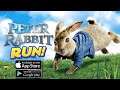 PETER RABBIT RUN GAMEPLAY (ANDROID / IOS)