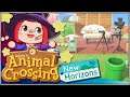 Qué de cosas aún por hacer!!! 💧 #19 - T2 ► Animal Crossing: New Horizons (Nintendo Switch)