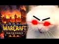 QUE PASO REALMENTE Con Warcraft 3 Reforged?