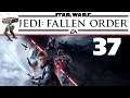 Star Wars: Jedi Fallen Order 🚀 ►37◄ Dathomir: die Unterwelt von Dathomir