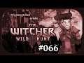 The Witcher 3: Wild Hunt 🐺 - #066 - Fahrlässiges Freudenhaus [USK 18][NG +][2K|60FPS]