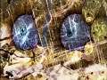 Warframe - "Void Storms" Experience π