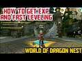 WORLD OF DRAGON NEST - HOW TO GET EXP AND FAST LEVELING