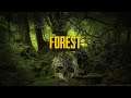 THE FOREST [038] 💀 "RIESEN" Katapult