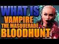 What Is Vampire: The Masquerade Bloodhunt Gameplay