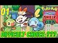 Difficult Choice???|Pokemon Sword And Shield Gba Episode-01