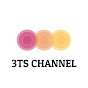 3TS Channel