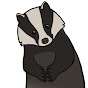 Badger597