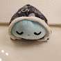 ASMR turtlebros