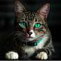 Kisel_228