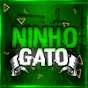 ninho gato