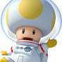 NintenTOAD