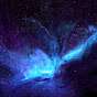 Null_HoYo