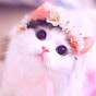 Meow Face