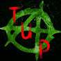 The Unprofessional Punk