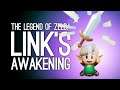 Link's Awakening Switch Gameplay: The Legend of Zelda Link's Awakening - WORST RACCOON EVER