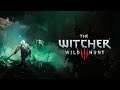 The Witcher 3: Wild Hunt | Ведьмакуууу...