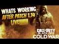 What's Working After Patch 1.14 Update | Black Ops Cold War Zombies