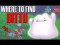 Where to find Ditto in Pokemon Sword & Shield - Ditto Location