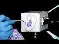 ASMR - Sensitive Ear Cleaning Triggers To Make You Sleep (NO TALKING, LONG VIDEO)