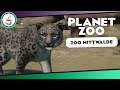 Kalte Katze #20 «» Zoo Mittwalde 🌲 PLANET ZOO mit @SeanMcBeard Deutsch | German