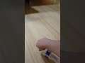 water bottle flip