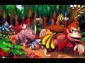 Donkey Kong Country Speedrun Attempt! - Time To Complete A Run