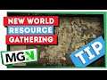 New World - Efficient Resource Gathering using Resource Locations - Quick Tip