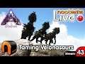 ARK Extinction How to Tame Velonasaurs  Ep43 Nooblets LIVE Streamed
