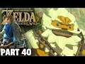 DARUK BALLAD TRAILS ! | The Legend of Zelda: Breath of the Wild PART 40 In HINDI