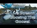 Microsoft Flight Simulator | Twitch Live Stream | Goosing The Goose