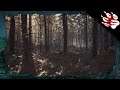 ► Blair Witch 🧙‍♀️ - #017: Der Mann im Wald