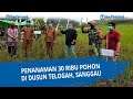 Penanaman 30 Ribu Pohon di Dusun Telogah, Sanggau