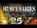 MechWarrior 4 | Mercenaries | Episode 25