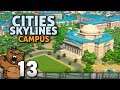 Parque natural na montanha | Cities Skylines: Campus #13 - Gameplay Português PT-BR