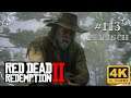 Red Dead Redemption II - #113 - Der Veteran [werbefrei, Deutsch, 4k, UHD, PS4Pro]