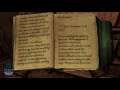 Enderal Books: Diary of a Miner in Shimmering Mine