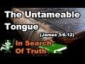 The Untameable Tongue (James 3:6-12) - IN SEARCH OF TRUTH