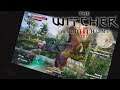 The Witcher 3 Nintendo Switch Handheld Gameplay | Gamescom 2019