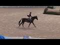 Video of CHABLIS ridden by KELLY TROPIN from ShowNet!