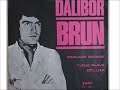 Dalibor Brun - Prolaze godine