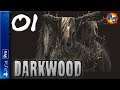 Let's Play Darkwood | PS4 Pro Console Gameplay | Episode 1 Day 1(P+J)
