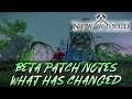 PATCH NOTES WHAT HAS CHANGED? - Amazon Games Studio New World Open Beta