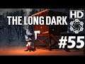 The Long Dark mit Joshu Let's Play #55 "Ein Trip ins Marschland" deutsch HD PC
