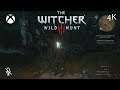 The Witcher 3 Gameplay (4k | Xbox One X)