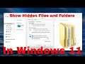 How to Find Hidden Files on Windows 11 [Tutorial]