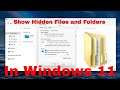 How to Find Hidden Files on Windows 11 [Tutorial]