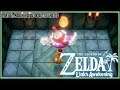 The Legend of Zelda: Link's Awakening (Switch) Part 2: Moblin Hideout & Bottle Grotto